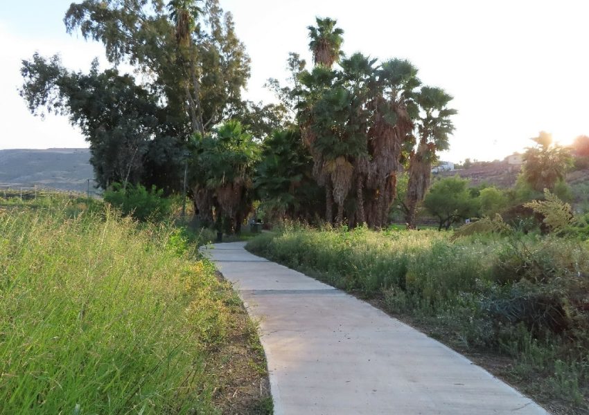 עין נון