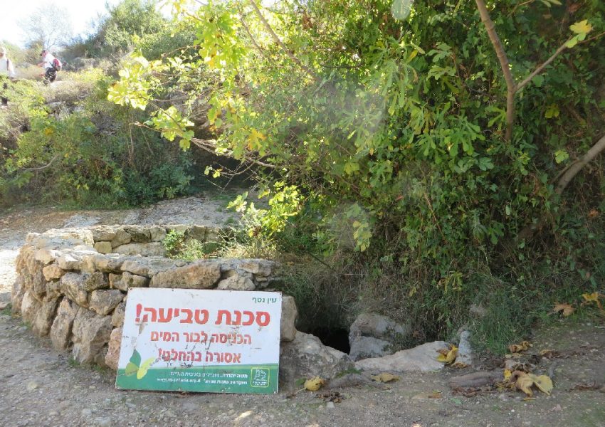 עין נטף