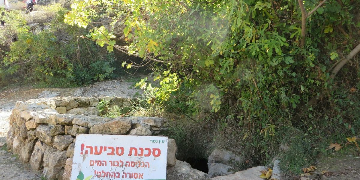 עין נטף