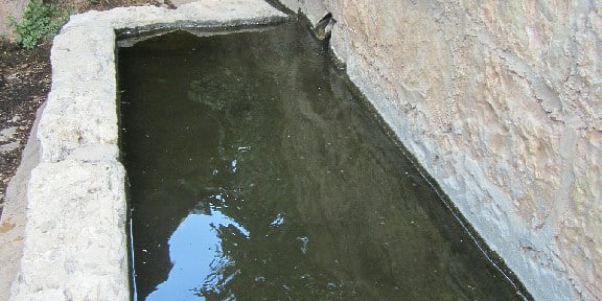 עין נר
