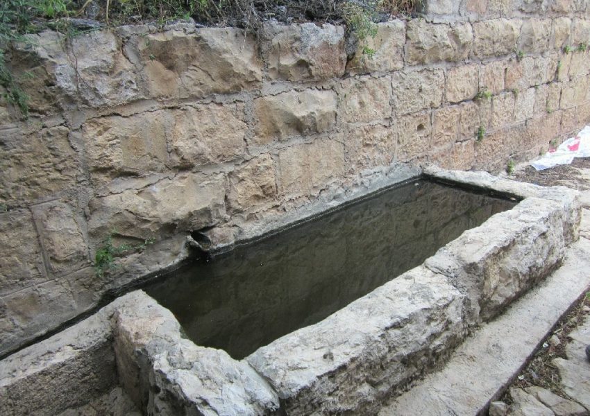 עין נר