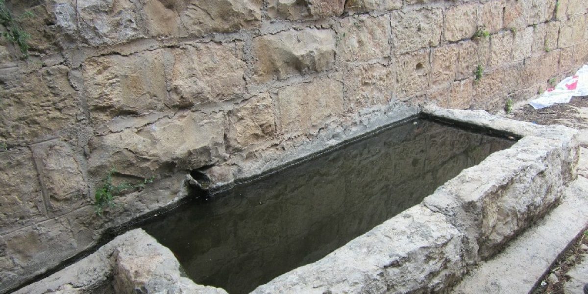 עין נר