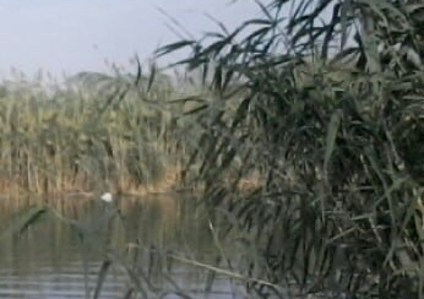 עין סוכות