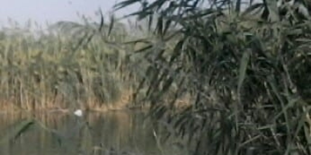 עין סוכות