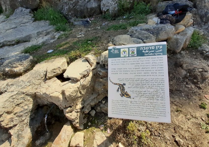 עין סרטבה