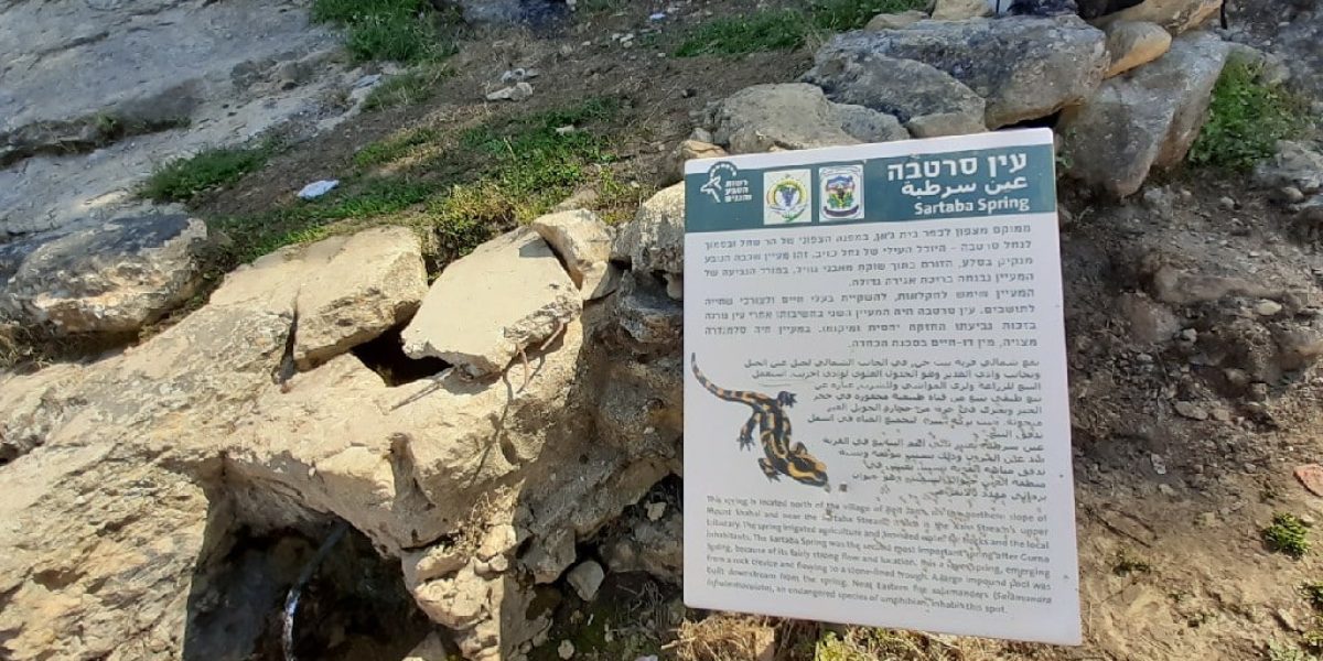 עין סרטבה