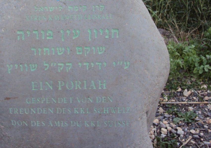 עין פוריה