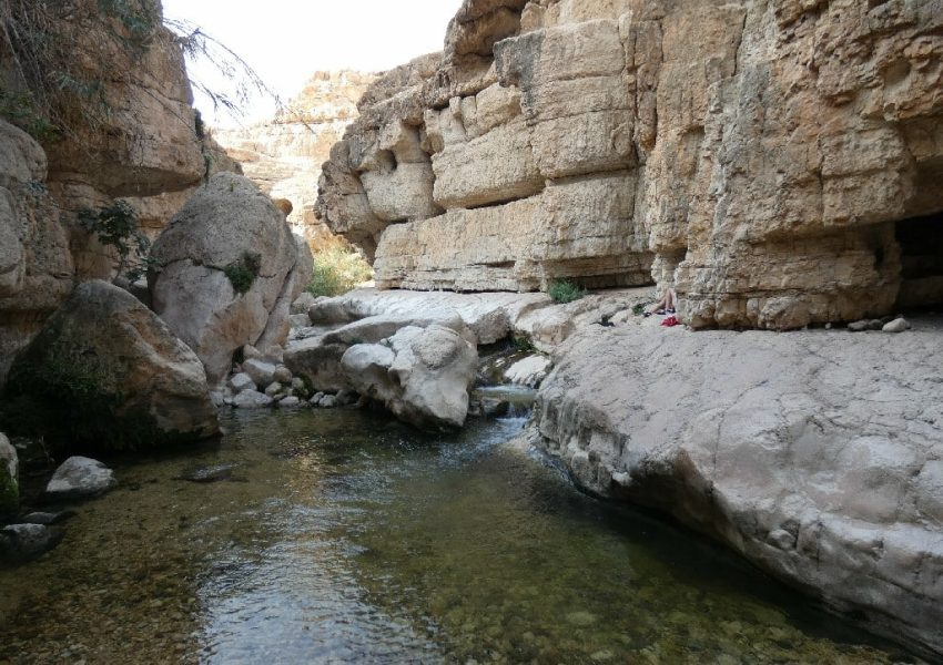 עין קלט