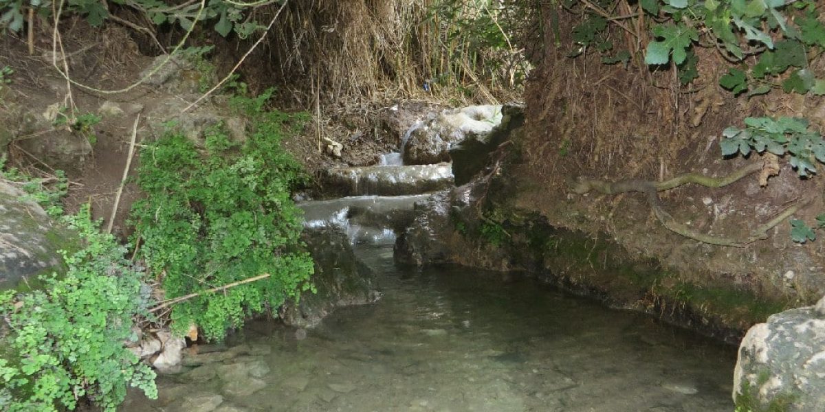 עין ריחניה