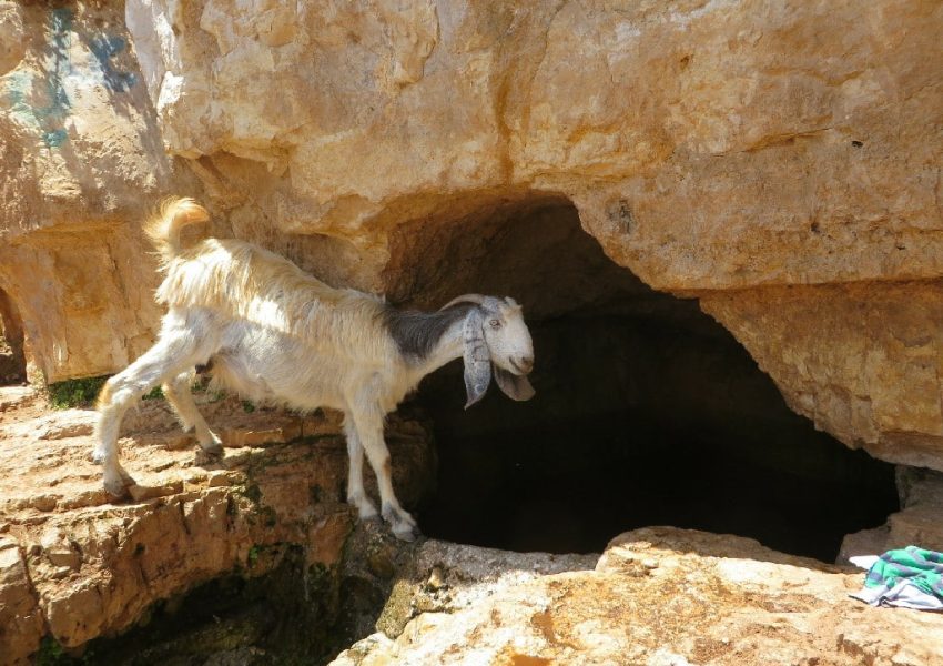 עין רשאש
