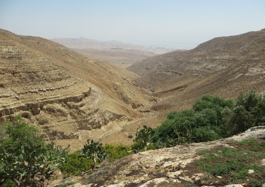 עין רשאש