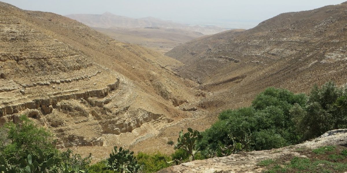 עין רשאש
