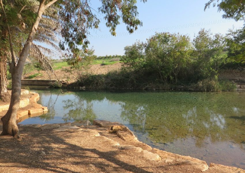 עין שוקק