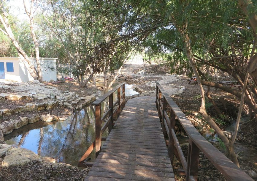 עין שוקק