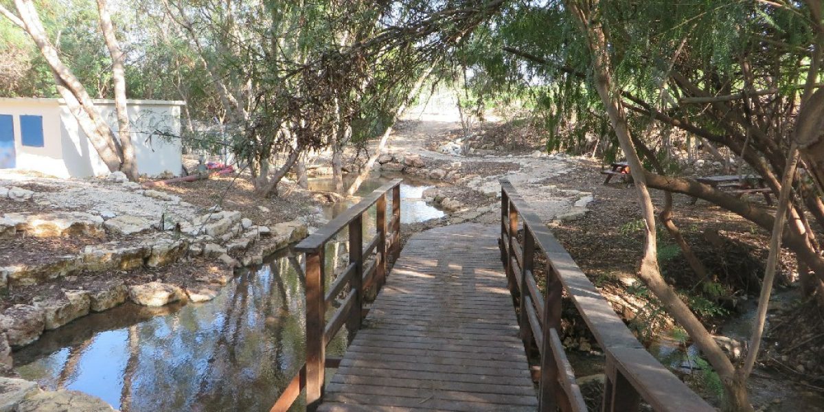 עין שוקק