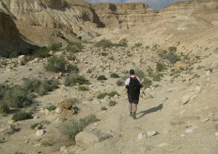 עין שרב