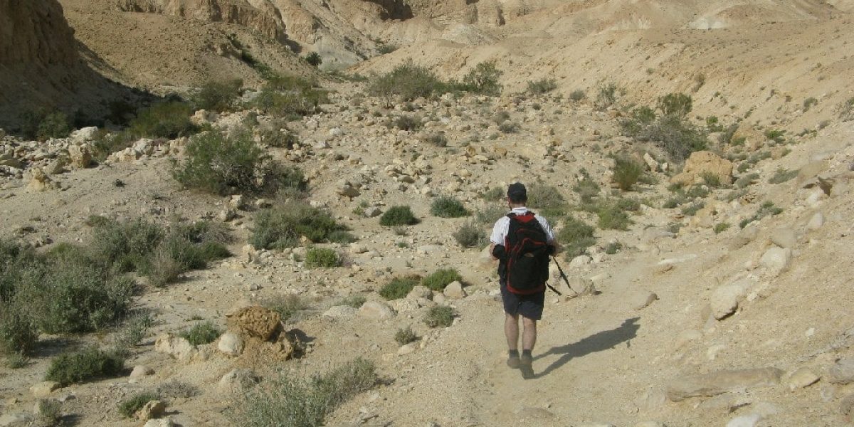 עין שרב