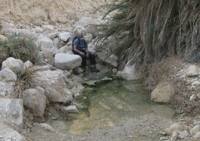 עין שרב