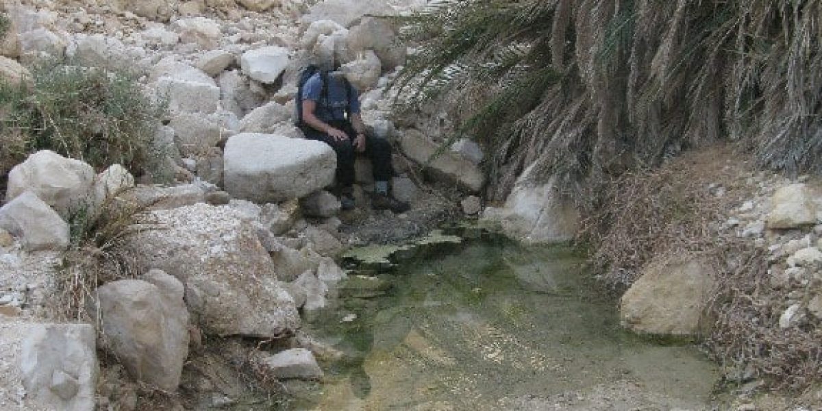 עין שרב