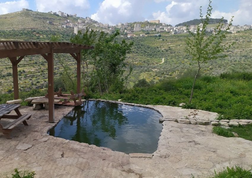 עינות ענר - נריה