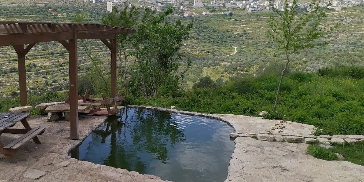 עינות ענר - נריה