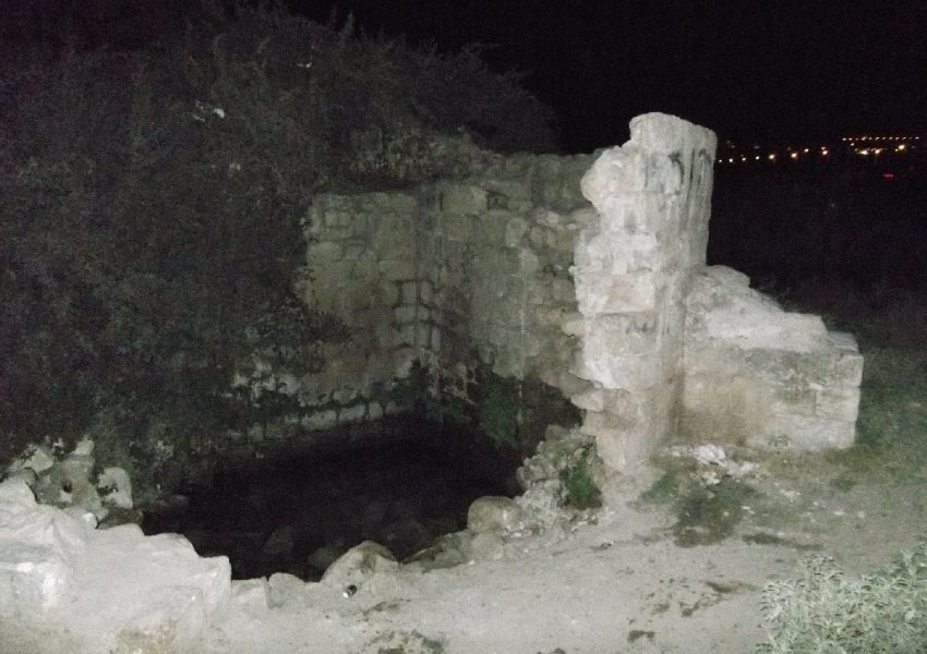 עינות ציפורי