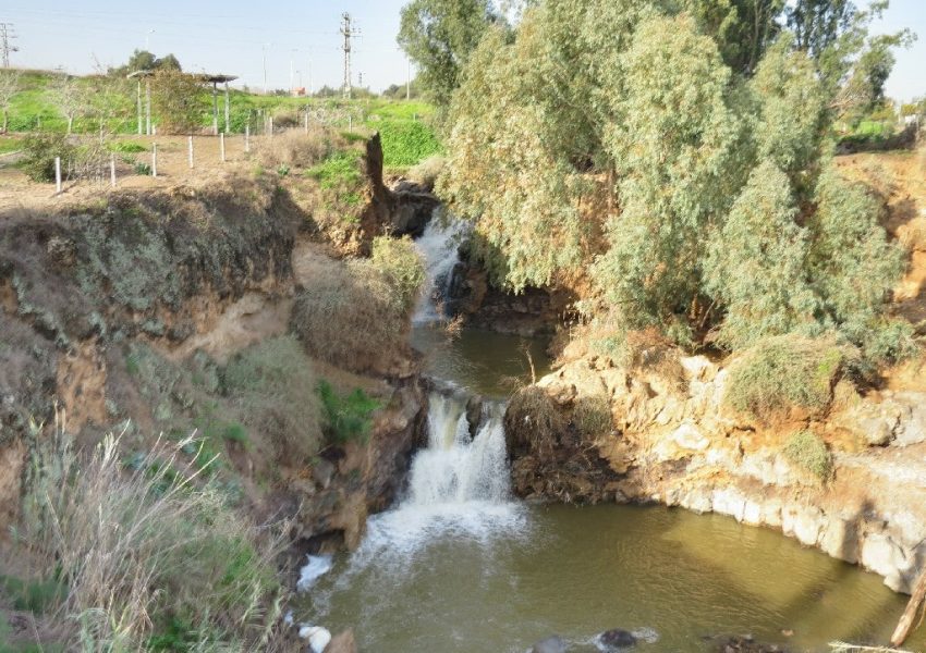 קניון בזלת נחל חרוד