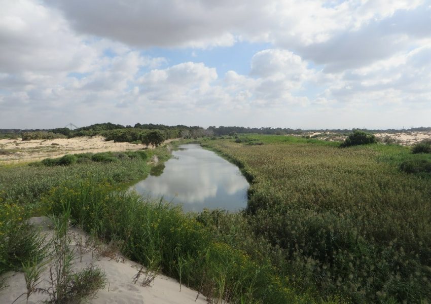 שפך נחל שורק
