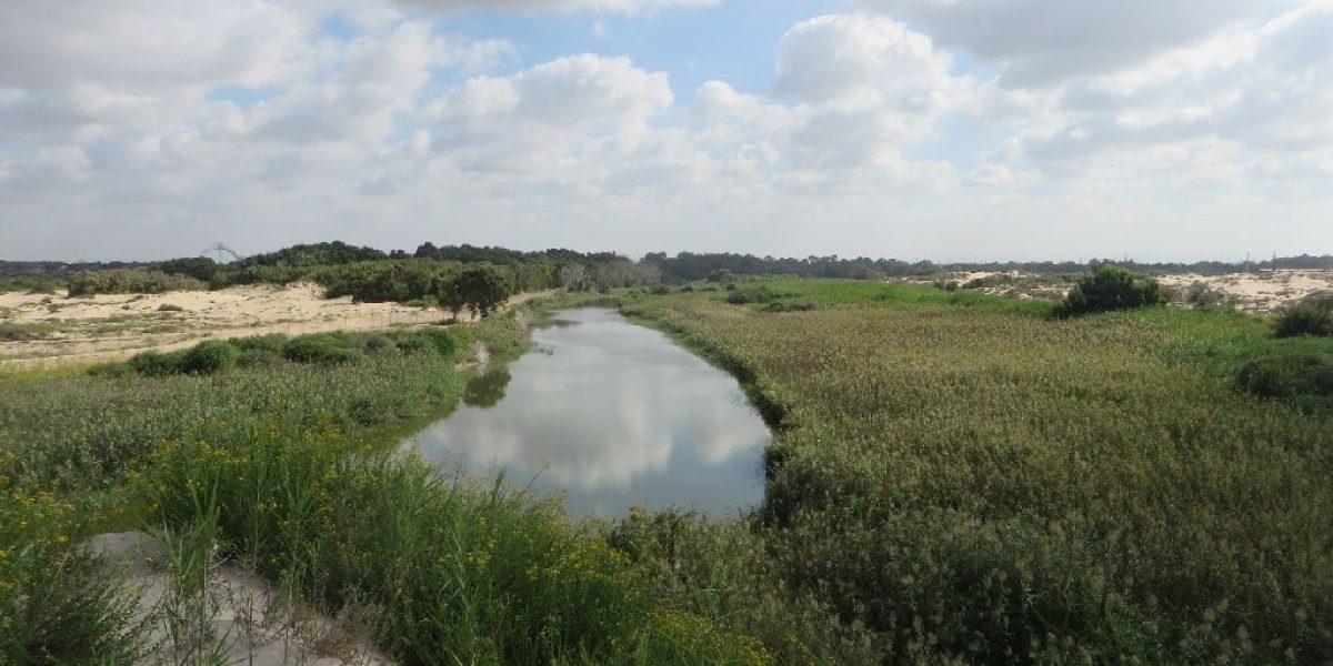 שפך נחל שורק